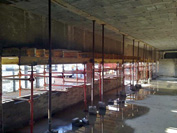 Imperial Cargo, Paarl