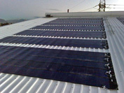 Imperial Cargo, Paarl