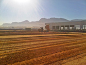 Imperial Cargo, Paarl